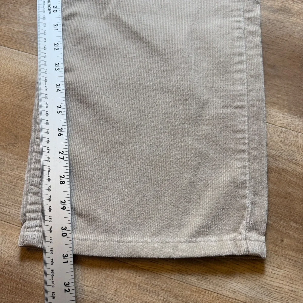 Levis levi 569
